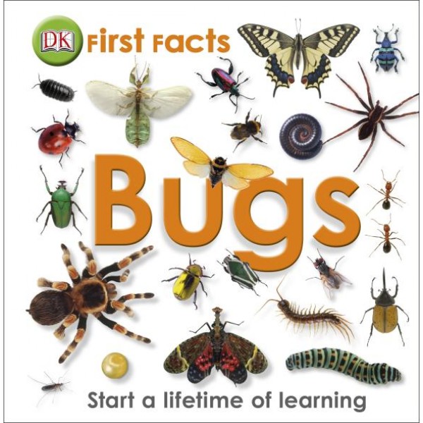 First Facts Bugs