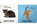 DK Baby Touch and Feel. Kittens