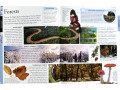 The New Children's Encyclopedia