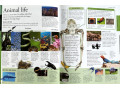 The New Children's Encyclopedia