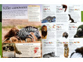 The New Children's Encyclopedia