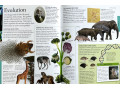 The New Children's Encyclopedia