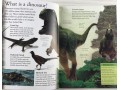 Eyewonder Dinosaurs