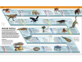 Knowledge Encyclopedia: Animal!