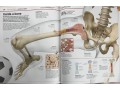 Knowledge Encyclopedia Human Body!