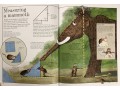 Mammoth Math: Everything You Need to Know About