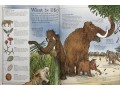 Mammoth Science: The Big Ideas That Explain Our World