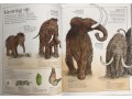 Mammoth Science: The Big Ideas That Explain Our World