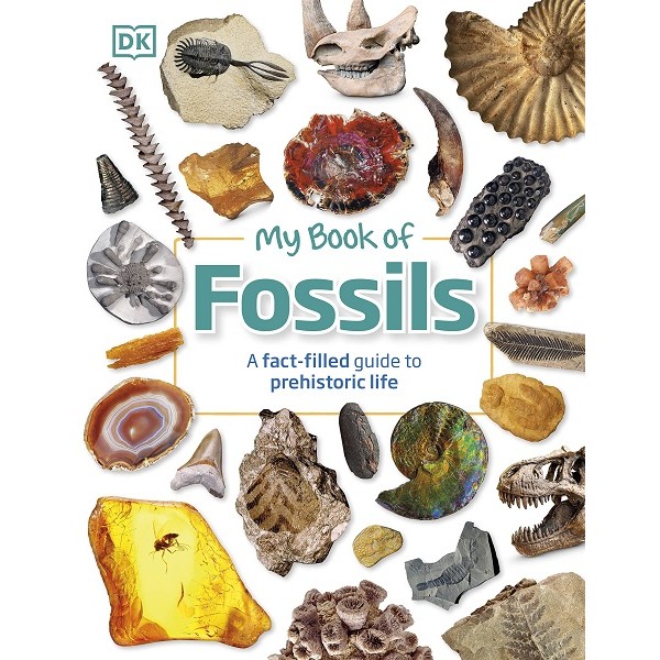 My Book of Fossils: A fact-filled guide to prehistoric life