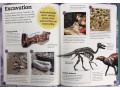 My Book of Fossils: A fact-filled guide to prehistoric life