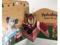 Pop-Up Peekaboo: Christmas