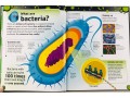 The Bacteria Book. Gross Germs, Vile Viruses, and Funky Fungi 