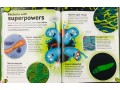 The Bacteria Book. Gross Germs, Vile Viruses, and Funky Fungi 