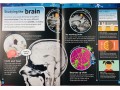 The Brain Book