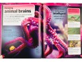 The Brain Book