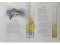 Б/У. Children's Classic Poetry Collection