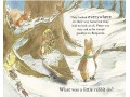 The Christmas Tale of Peter Rabbit