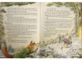 Peter Rabbit: Christmas is Coming