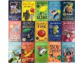 David Walliams 15 Books Collection