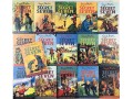 The Secret Seven 16 Books Collection