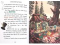 Geronimo Classic Tales. Alice in Wonderland