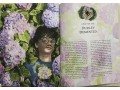 Harry Potter and the Order of the Phoenix: Illustrated Edition
