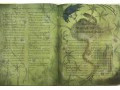 Harry Potter and the Order of the Phoenix: Illustrated Edition