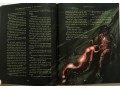 Harry Potter and the Order of the Phoenix: Illustrated Edition