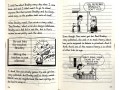 Diary of a Wimpy Kid. 22 Books Collection