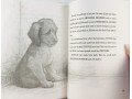 The Dog Who Lost His Bark
