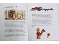 The Big Alfie and Annie Rose Storybook