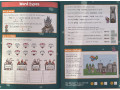 English Activity Book. Ages 8-9