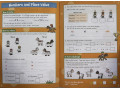 Maths Activity Book. Ages 6-7 (Year 2)