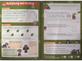 Problem Solving & Reasoning Maths Activity Book. Ages 8-9 (Year 4)