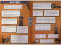 Grammar, Punctuation & Spelling Activity Book. Ages 7-8 (Year 3)