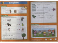 Grammar, Punctuation & Spelling Activity Book. Ages 7-8 (Year 3)