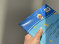 УЦЕНКА. Grammar, Punctuation & Spelling Activity Book. Ages 8-9 (Year 4)