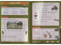 УЦЕНКА. Grammar, Punctuation & Spelling Activity Book. Ages 8-9 (Year 4)