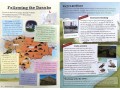 KS2 Discover & Learn: Geography - Europe SB+WB