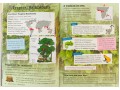 KS2 Discover & Learn: Geography - Living Planet SB+WB