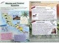KS2 Discover & Learn: Geography - North & South America SB+WB