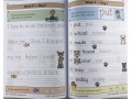 KS1 Handwriting Daily Practice Book Bundle: Year 1 - Autumn Term, Spring Term & Summer Term
