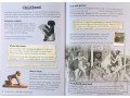 KS2 Discover & Learn: History - Ancient Egyptians SB+WB