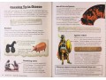 KS2 Discover & Learn: History - Ancient Greeks SB+WB