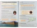 KS2 Discover & Learn: History - Anglo-Saxons, Year 5 & 6 SB+WB