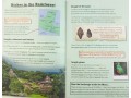 KS2 Discover & Learn: History - Mayan Civilisation