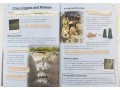 KS2 Discover & Learn: History - Stone Age to Celts, Year 3 & 4