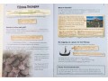 KS2 Discover & Learn: History - Vikings SB+WB Year 5 & 6