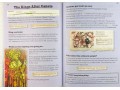 KS2 Discover & Learn: History - Vikings SB+WB Year 5 & 6