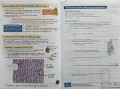 KS3 Biology Study & Question Book
